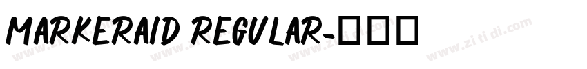 MarkerAid Regular字体转换